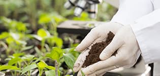 Hands with soil for planting illustrates PlusChem's expertise in the Agrochemical industry