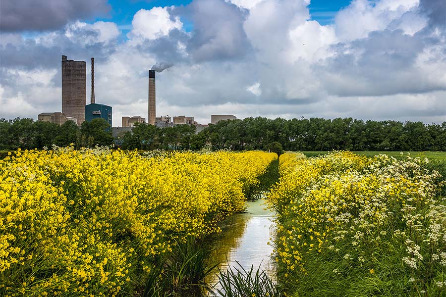 chemical sourcing factory in field